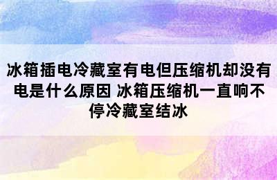 冰箱插电冷藏室有电但压缩机却没有电是什么原因 冰箱压缩机一直响不停冷藏室结冰